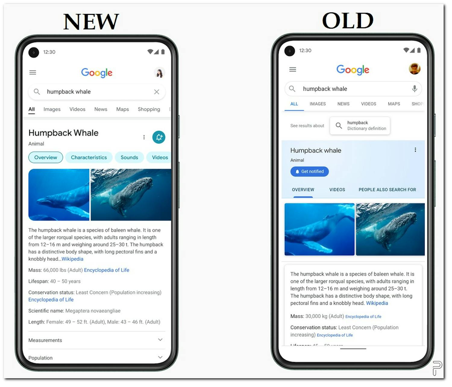 Google på smartphone får nyt look Søgemaskinen Google på smartphone får nyt look